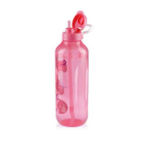 AquaVibe with handle & straw | 1pc | 2L