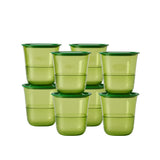 Premium Blossom Glass | 8pcs | 230ml