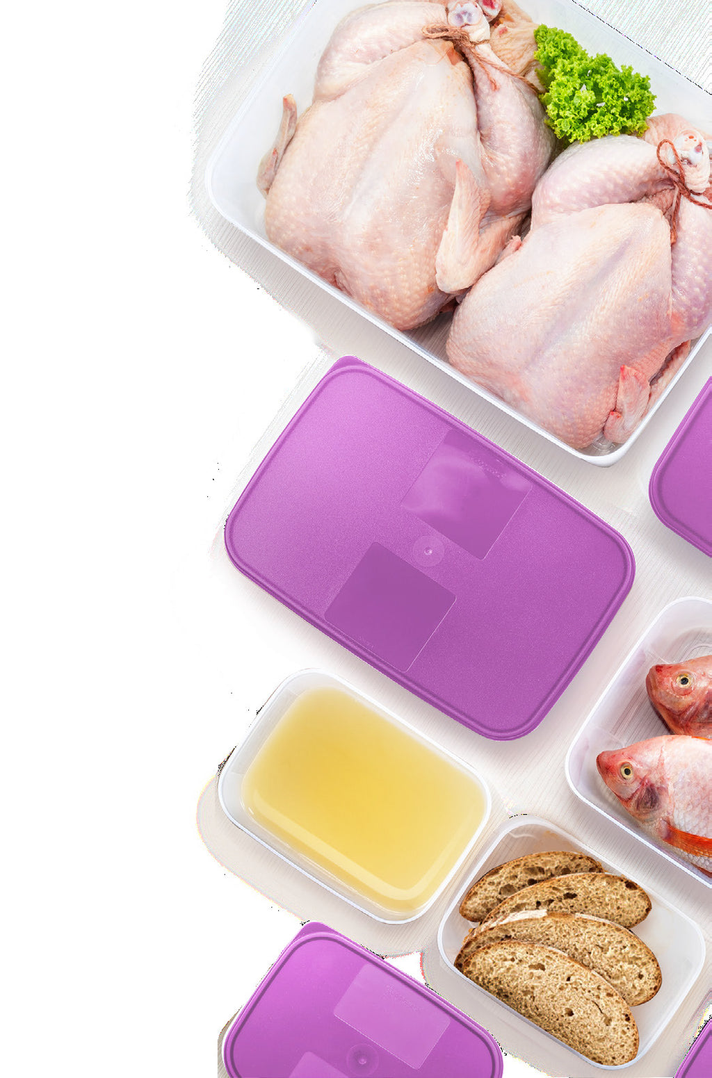 Tupperware Brands: Revolutionizing Food Storage for Malaysians - Cyber Care