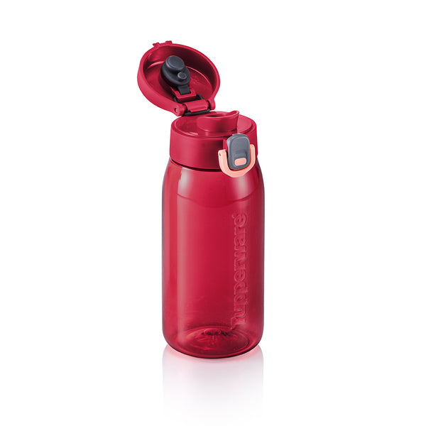 H2GO with Easy Open Cover (1) 550ml