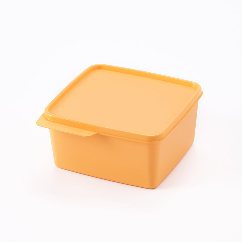 Basic Line | 1pc | 1.2L