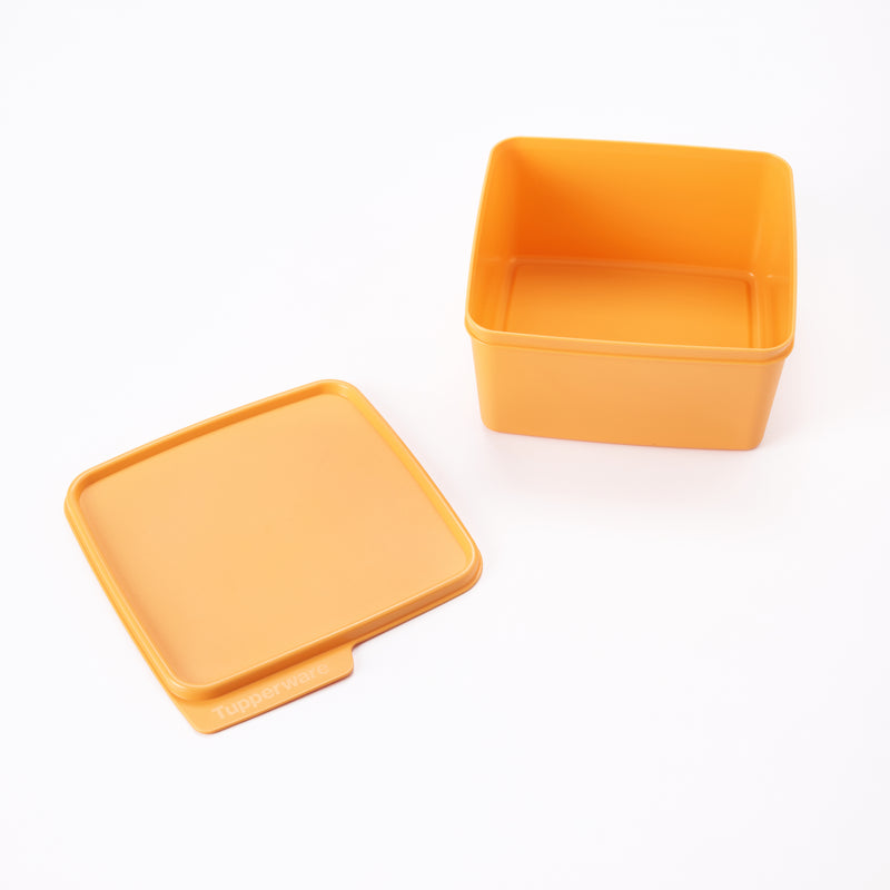 Basic Line | 1pc | 1.2L