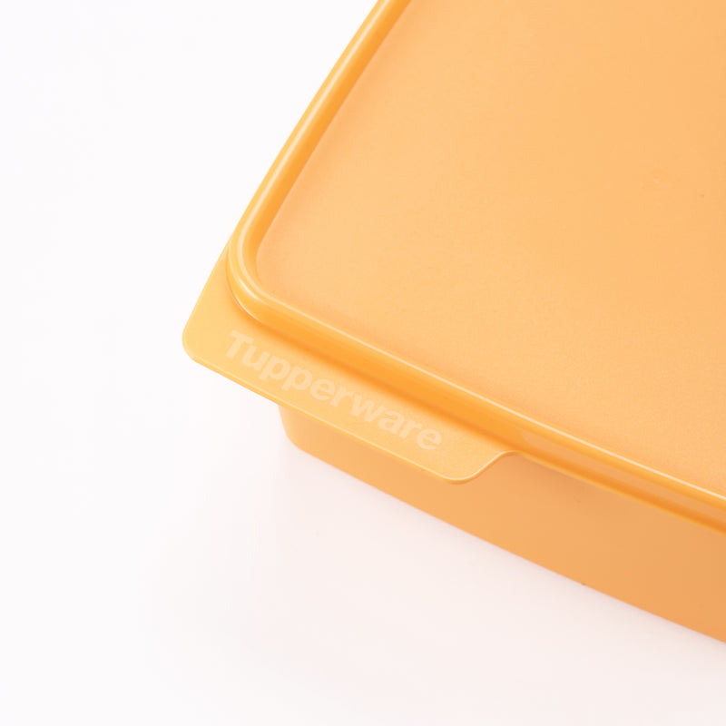 Basic Line | 1pc | 1.2L