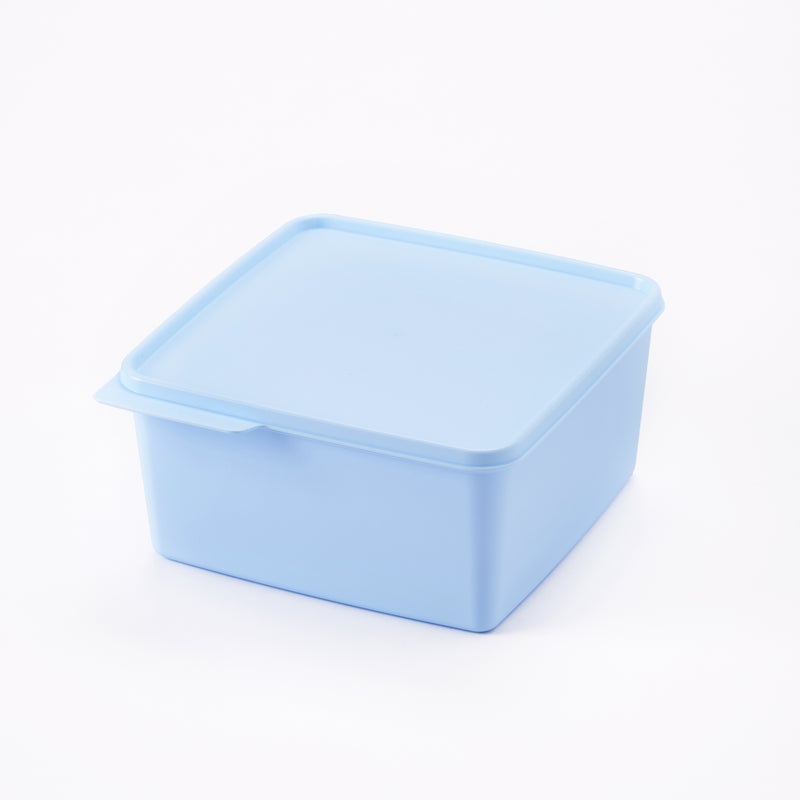 Basic Line | 1pc | 2.5L