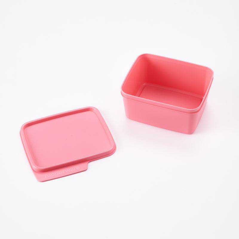Basic Line | 1pc | 500ml