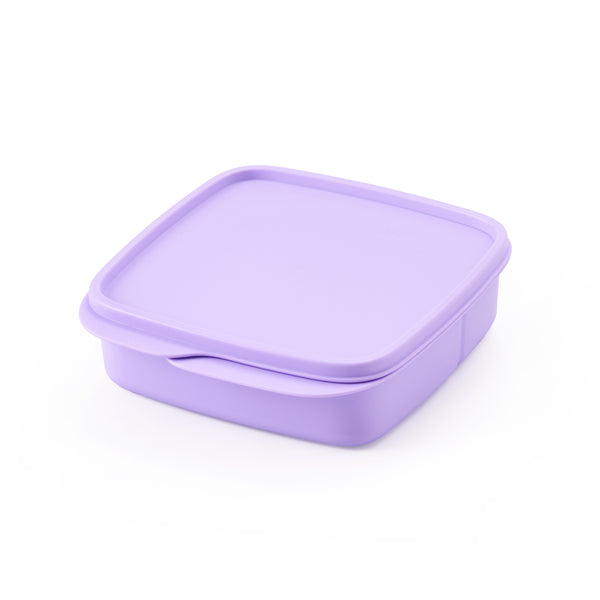 Divided Lunch Box Squares | 1pc | 550ml