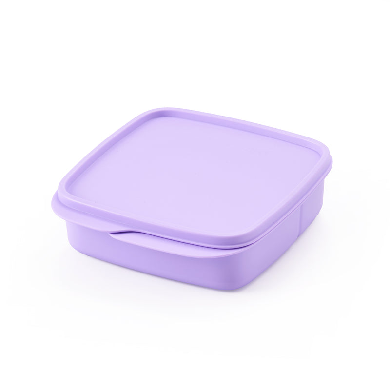 Divided Lunch Box Squares | 1pc | 550ml