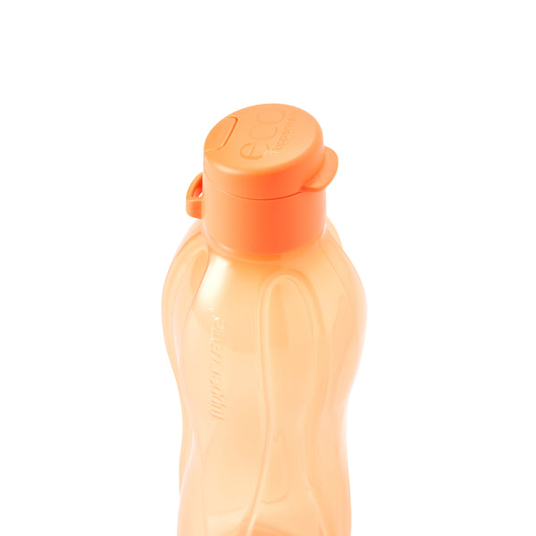 Eco Bottle with EDD Cap | 1pc | 500ml