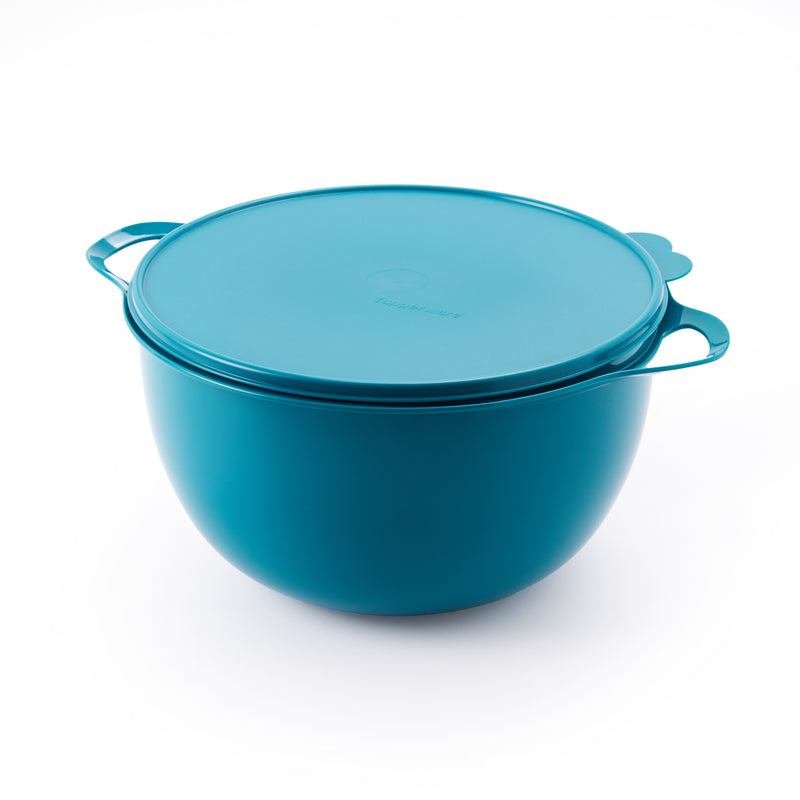 PWP: Mega That's A Bowl | 1pc | 10L