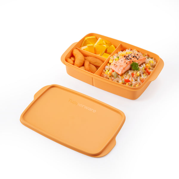 Divided Lunch Box | 1pc | 1L