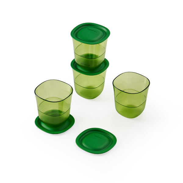 Premium Blossom Glass | 4pcs | 230ml