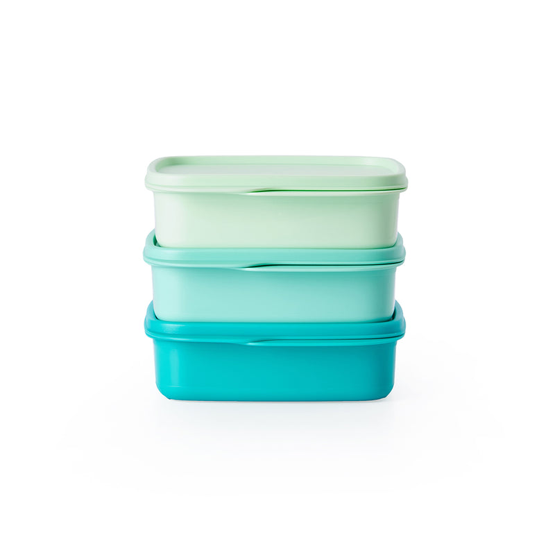 Divided Lunch Box Squares | 3pcs | 550ml