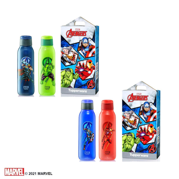 Avengers Eco Bottles Set