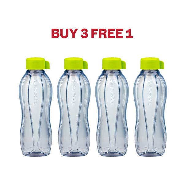 Eco Bottle with Screwcap | 4pcs | 750ml