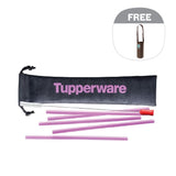 Go Eco Straw & Brush Set