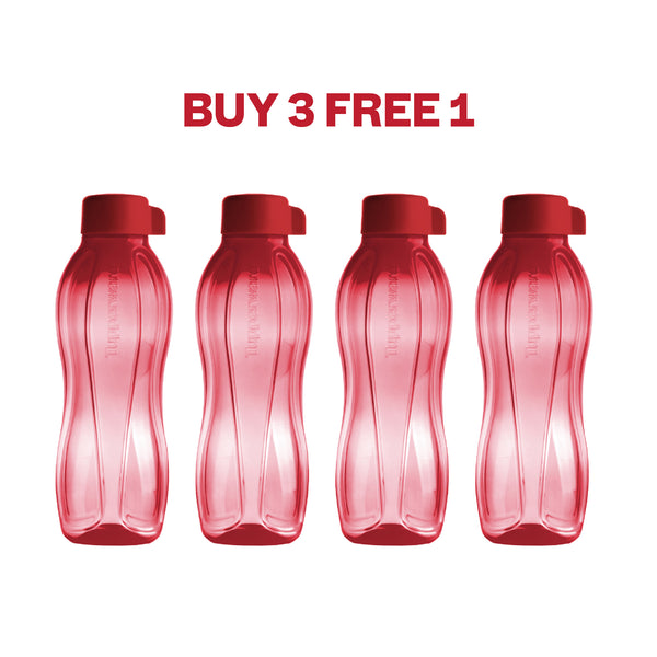 Eco Bottle | 4pcs | 750ml