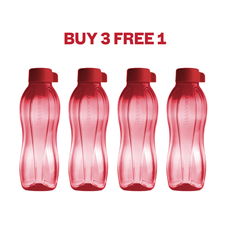 Eco Bottle | 4pcs | 750ml