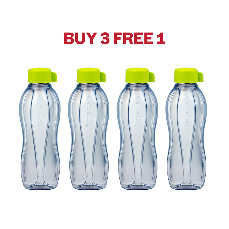 Eco Bottle with Screwcap | 4pcs | 750ml