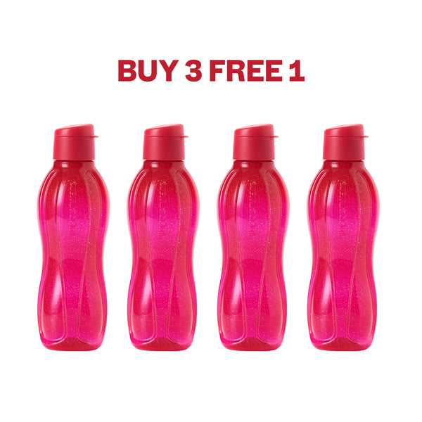 Eco Bottle with EDD Cap | 4pcs | 750ml