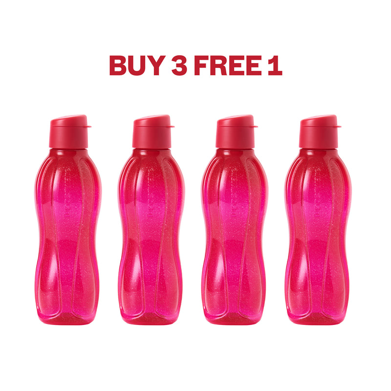 Eco Bottle with EDD Cap | 4pcs | 750ml