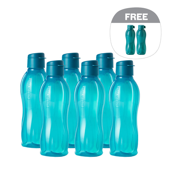Eco Bottle with EDD Cap | 6pcs | 750ml