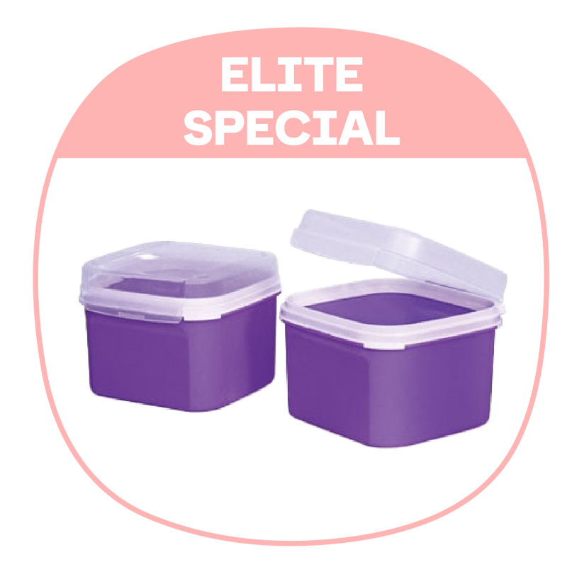 PWP: Ezy Square Keeper II | 2pcs | 2.6L