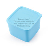 Cubix Square | 1pc | 1L