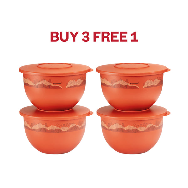Expression Bowl | 4pcs | 2.5L