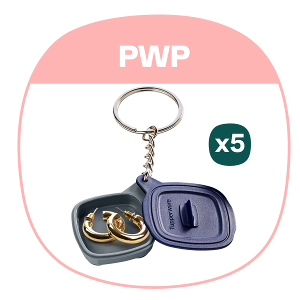 PWP: Micropro Grill Keychain | 5pcs