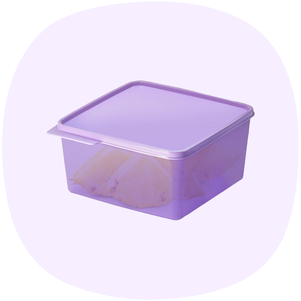 Basic Line | 1pc | 2.5L
