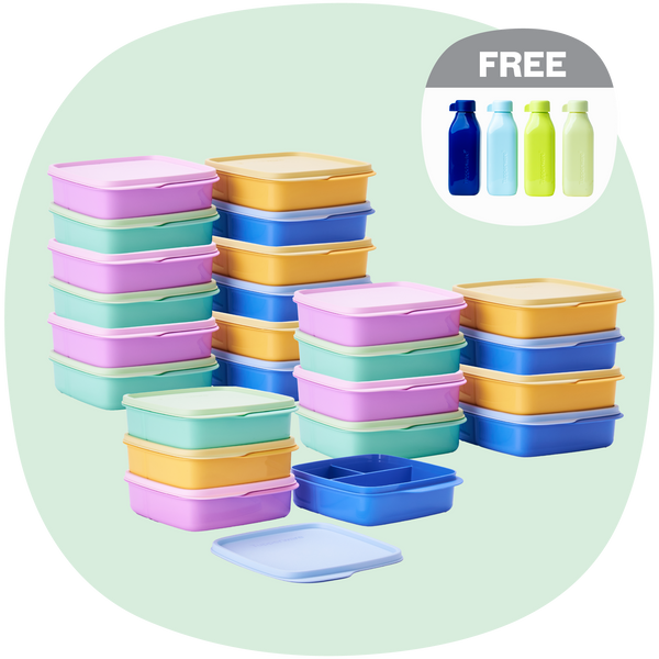 Divided Lunch Box | 24pcs | 550ml