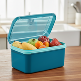 Ezy Rectangular Keeper | 1pc | 4.3L