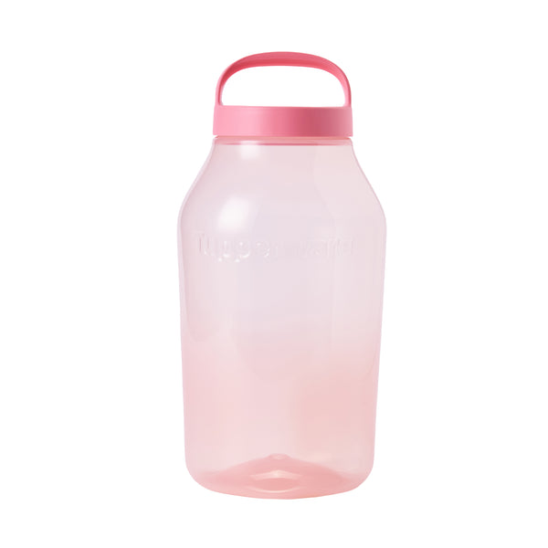 Universal Jar with Handle | 1pc | 4.5L