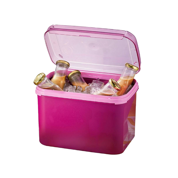 Ezy Rectangular Keeper | 1pc | 6.5L