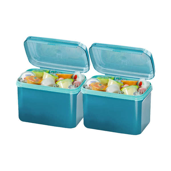 Ezy Rectangular Keeper | 2pcs | 6.5L