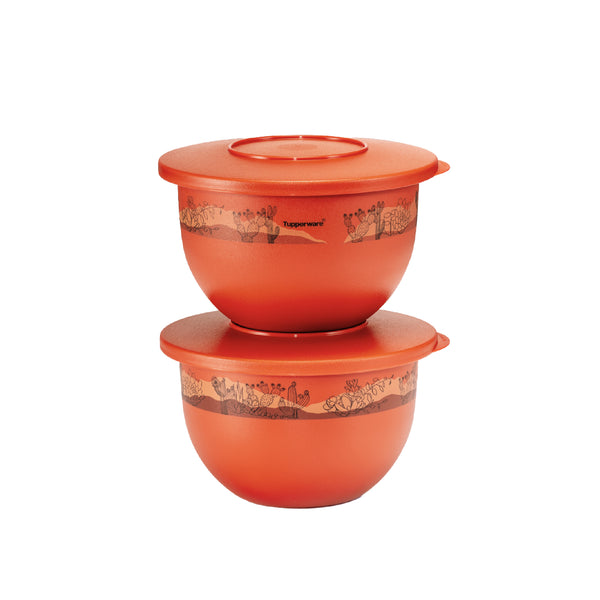 Expression Bowl | 2pcs | 1.3L