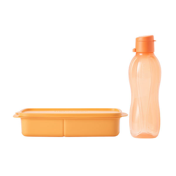 Lunch Set - Terracotta