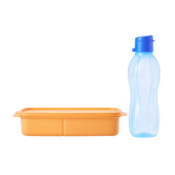 Lunch Set - Bold Taffy