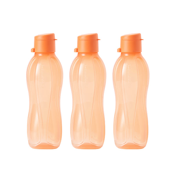 Eco Bottle with EDD Cap | 3pcs | 500ml