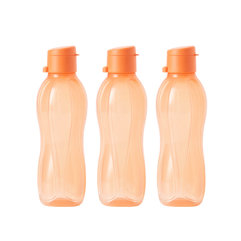 Eco Bottle with EDD Cap | 3pcs | 500ml