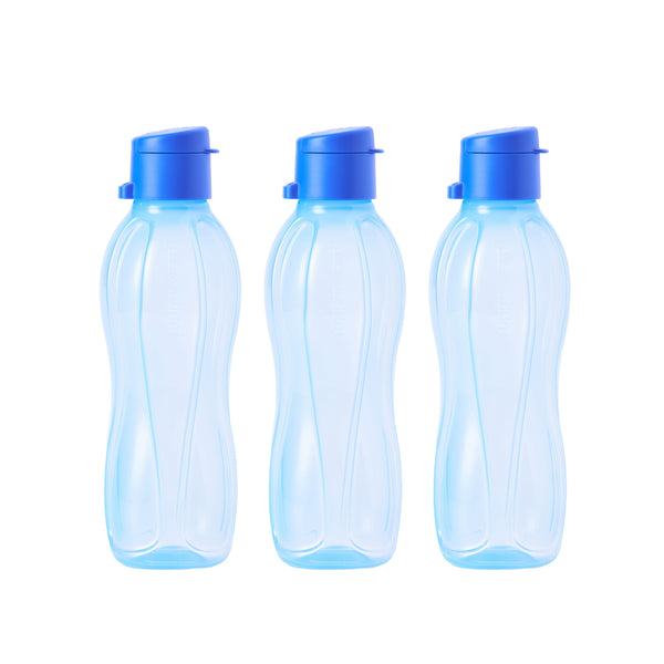 Eco Bottle with EDD Cap | 3pcs | 500ml