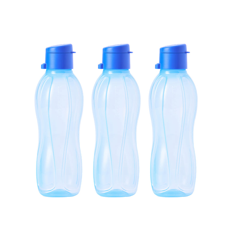 Eco Bottle with EDD Cap | 3pcs | 500ml