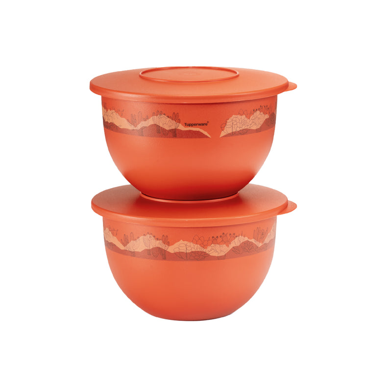 Expression Bowl | 2pcs | 2.5L