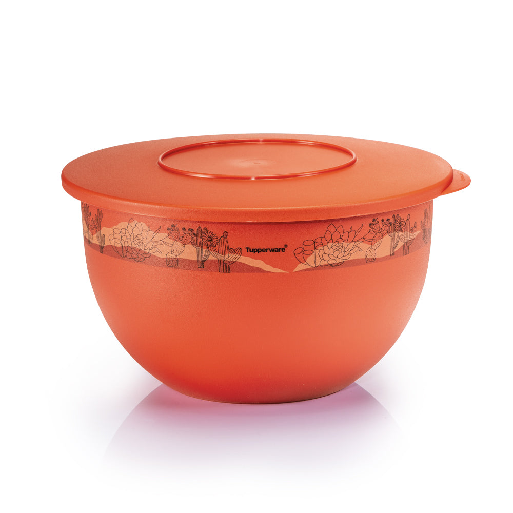 https://shop.tupperwarebrands.com.my/cdn/shop/files/ExpressionBowl_4.3L_1800x1800@2x.jpg?v=1703662741