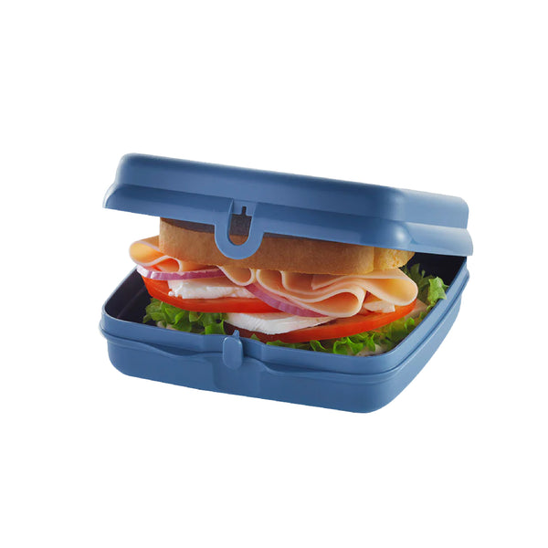 Sandwich Keeper | 1pc
