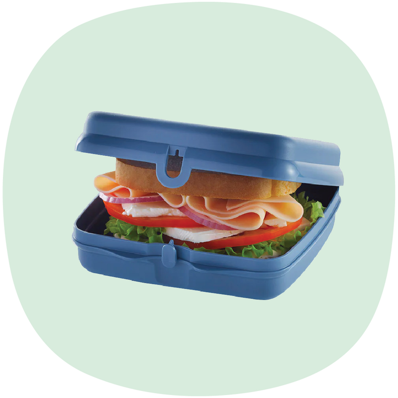PWP: Sandwich Keeper | 1pc