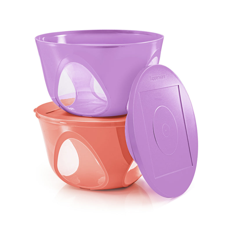 Outdoor Dining Bowl | 2pcs | 4.3L