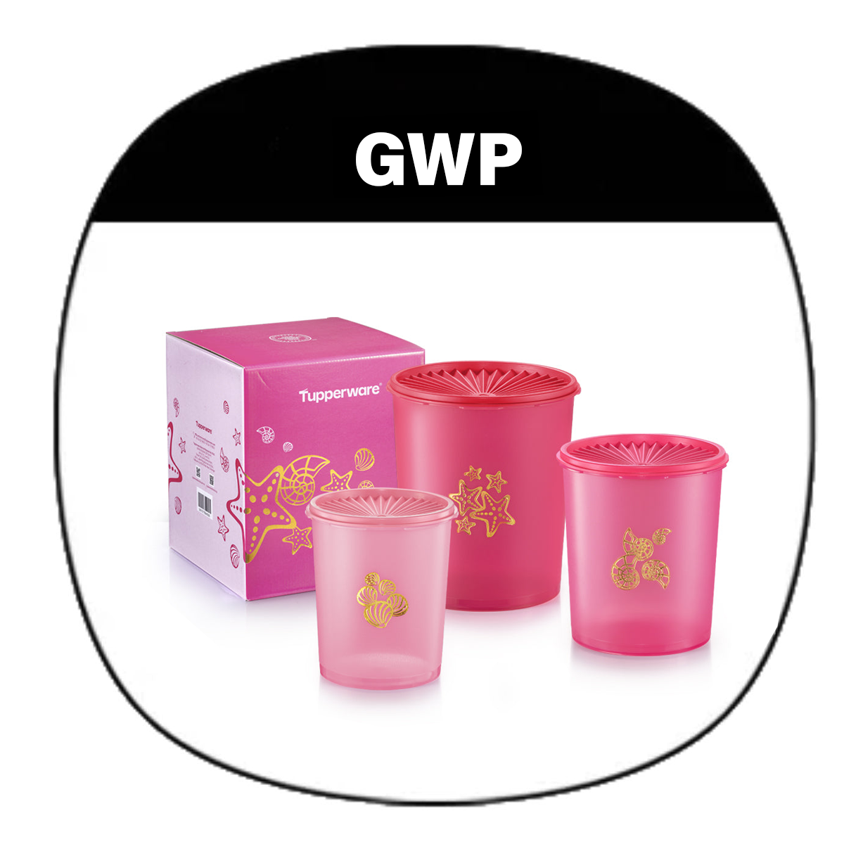 Tupperware Deco Canister (2) 1.5L (PM Store) Tupperware Brands