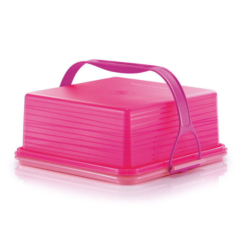 Square Fresh N Fancy | 1pc | 6.0L
