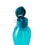 Eco Bottle with EDD Cap | 1pc | 750ml
